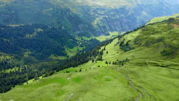 Les Alpes Suisses Melchsee Frutt Séquences Voyage — Video