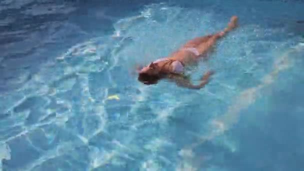 Mujer sexy nada en una piscina — Vídeo de stock