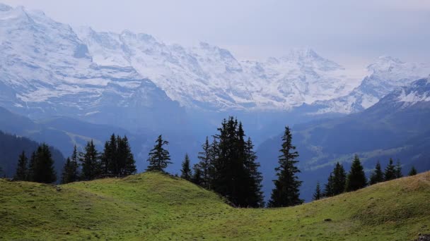 Fantastisk panoramautsikt över de schweiziska alperna — Stockvideo