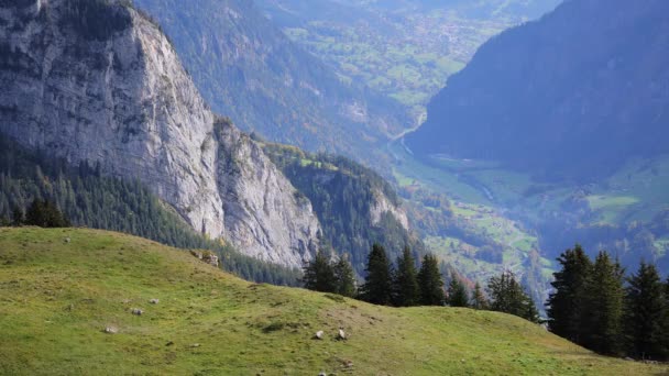 Popular mountain in the Swiss Alps called Schynige Platte in Switzerland — Stock Video