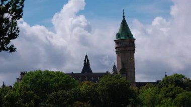 Siyah dantelli ve tüylü güzel Asyalı bir modelin stüdyo portresi.