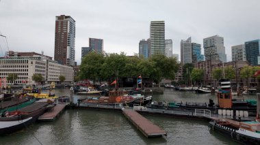 ROTTERDAM, NETHERLANDS - 13 Eylül 2025 Çağdaş şehir binaları ve ağaçlarıyla çevrili Rotterdam limanı