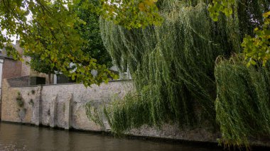 BRUGES, BELGIUM - 15 Eylül 2025 - Bruges 'de tuğladan bir duvarla bir kanalın üzerinde sallanan söğüt dalları