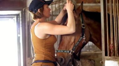 Genç kız damat at ve örgülü yele üzerinden yapmak. bir ahırda kız ilgilenir ve kahverengi at