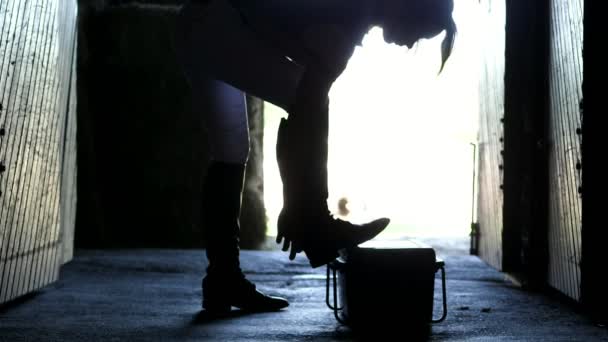 Gegen das Licht, in der stabilen, umrissenen Figur des Mädchens. sie kleidet Stiefel zum Reiten — Stockvideo