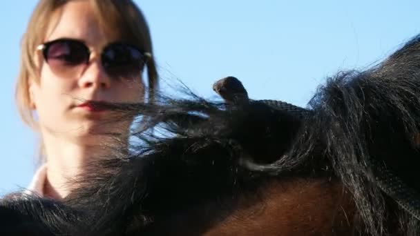 Ένα πορτρέτο ενός κοριτσιού jockey, κατέχει ηνία στα της δέρμα γάντι, αρπάζει ένα άλογο για χαίτη — Αρχείο Βίντεο