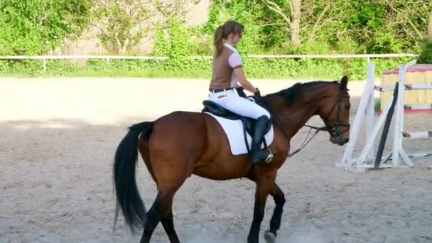 Summer, outdoors, girl rider, jockey riding on a thoroughbred beautiful brown stallion, horse, on the training ground — Stock Video