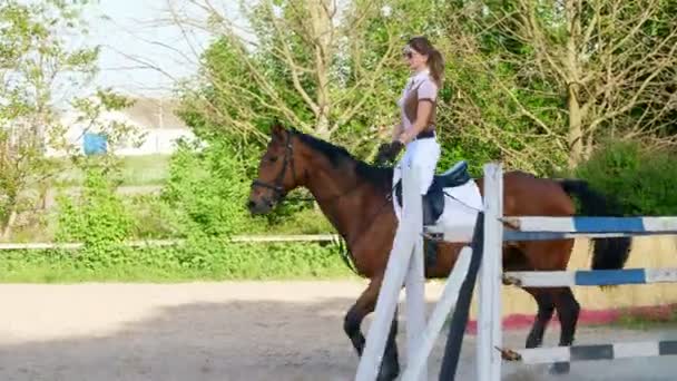 Été, à l'extérieur, fille cavalière, jockey chevauchant sur un beau étalon brun pur-sang, cheval, sur le terrain d'entraînement — Video