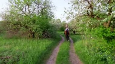 bahar, açık havada, kız binici, safkan güzel kahverengi aygır, eski çiçek açması elma bahçesi ile sürme jokey. çiçek bahçesinde çalışan at. ateş stedicam