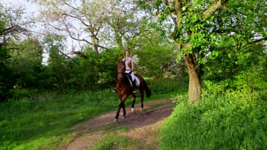 bahar, açık havada, kız binici, safkan güzel kahverengi aygır, eski çiçek açması elma bahçesi ile sürme jokey. çiçek bahçesinde çalışan at. ateş stedicam