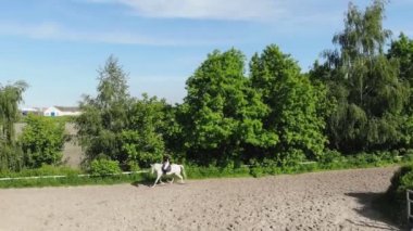 yukarıdan görüntülemek, havadan video çekim, eğitim kum alan, Bahçesi, biniciler, jockeys binmek atlar, atlarla bariyer yanında çeşitli egzersizler gerçekleştirin. yaz, açık havada,