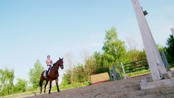 Sommer, im Freien, Reiterin, Jockeyreiterin auf einem schönen braunen Vollblut-Hengst, Pferd, auf dem Trainingsplatz. Pferd überspringt Barriere