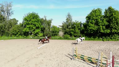 yukarıdan görüntülemek, havadan video çekim, eğitim kum alan, Bahçesi, biniciler, jockeys binmek atlar, atlarla bariyer yanında çeşitli egzersizler gerçekleştirin. yaz, açık havada,