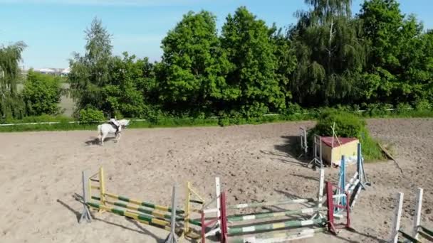 Vista de cima, filmagem de vídeo aéreo, campo de areia de treinamento, playground, pilotos, jockeys montar cavalos, realizar vários exercícios com cavalos, ao lado de barreiras. verão, ao ar livre , — Vídeo de Stock