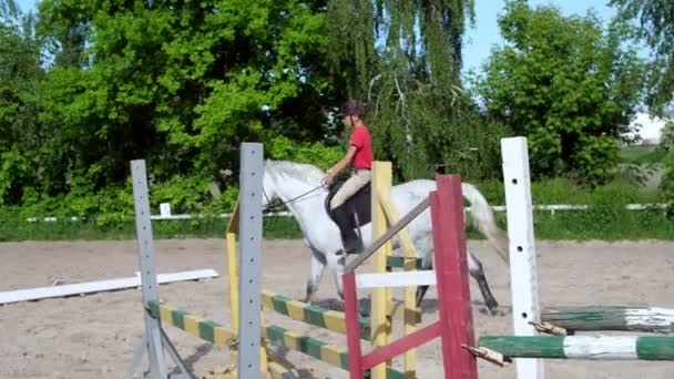 Sommer, im Freien, Junge Reiter, Jockey Reiten auf reinrassigen schönen weißen Hengst, Pferd, auf dem Trainingssandplatz, Boden. Junge lernt Reiten in Reitschule. — Stockvideo