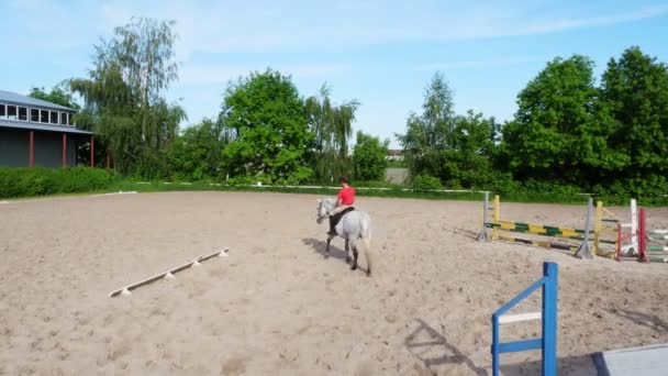 Été, à l'extérieur, garçon cavalier, jockey chevauchant sur pur-sang beau étalon blanc, cheval, sur le terrain de sable d'entraînement, au sol. garçon apprend à monter à cheval dans l'école d'équitation . — Video