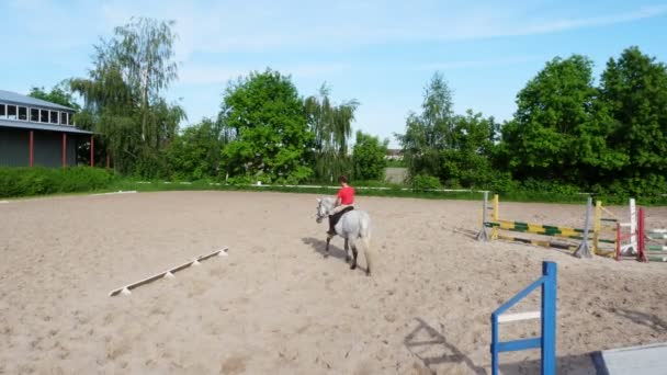 Verano, al aire libre, chico jinete, jinete montando en pura sangre hermoso semental blanco, caballo, en el campo de arena de entrenamiento, tierra. niño aprende a montar a caballo en la escuela de equitación . — Vídeos de Stock