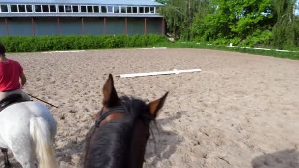 Verão, ao ar livre, menino cavaleiro, jockey montando em puro sangue belo garanhão branco, cavalo, no campo de areia de treinamento, chão. menino aprende a montar um cavalo na escola de equitação . — Vídeo de Stock