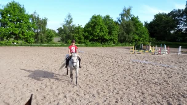 Été, à l'extérieur, garçon cavalier, jockey chevauchant sur pur-sang beau étalon blanc, cheval, sur le terrain de sable d'entraînement, au sol. garçon apprend à monter à cheval dans l'école d'équitation . — Video