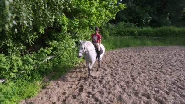 Лето, на открытом воздухе, мальчик всадник, жокей верхом на чистокровном красивом белом жеребце, лошадь, на тренировочном песчаном поле, земля. мальчик учится ездить на лошади в школе верховой езды . — стоковое видео