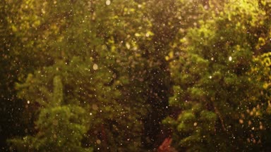 yağmur ve dolu parçaları büyük damlacıkları odaklan. Onlar güneş altın ile parlaklık. Her şey ışık ile sular altında olduğunu. güneşli günde fırtına, Rüzgar ve yağmur ile dolu olduğunu.