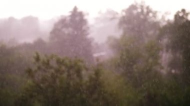 yukarıdan, odak görünümü üzerinde büyük damla yağmur, Şehir Parkı, bahar günü, şehir, güçlü rüzgar ve yağmur fırtına, hail ile şiddetli bir yağmur. güçlü rüzgarlar