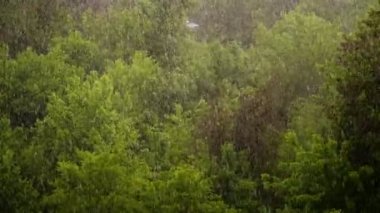 Yukarıdan görünüm, Şehir Parkı, bahar günü, şehir, güçlü rüzgar ve yağmur fırtına, hail ile şiddetli bir yağmur. büyük yağmur damlaları, üzerinde güçlü rüzgarlar odaklanmak