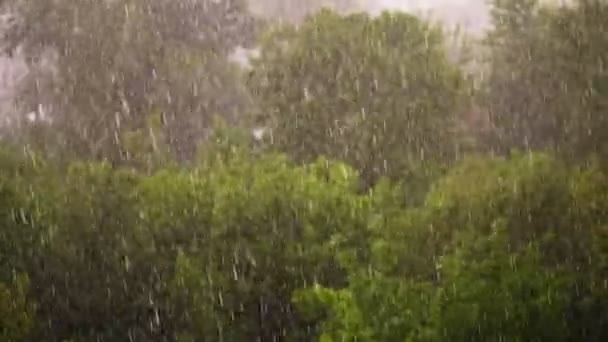 Vista desde arriba, parque de la ciudad, día de primavera, tormenta en la ciudad, fuerte viento y lluvia, un aguacero con granizo. se centran en grandes gotas de lluvia, fuertes ráfagas de viento — Vídeo de stock