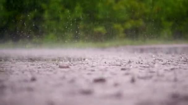 Close-up, grandes, fortes gotas de chuva, chuva, chuveiro, cair com um spray, respingos de água, na superfície molhada das poças, a superfície da água. grandes gotas da chuva na textura do chão molhado — Vídeo de Stock