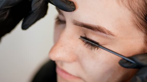 Salón de belleza. primer plano, las manos del cosmético en guantes de goma negro mantienen un cepillo especial y peinar las cejas. Maestro corrige la forma de las cejas. Cuidado profesional de la cara . — Vídeos de Stock