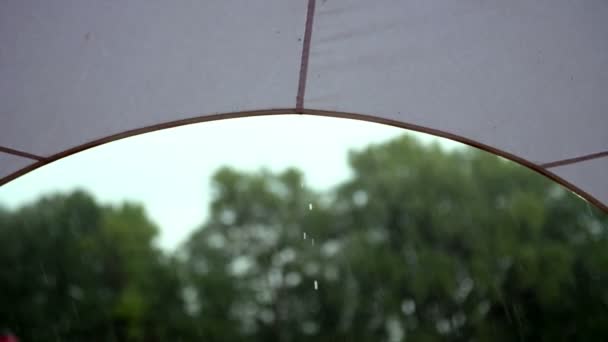 Letni deszcz, burza, ciężkie ulewy w parku miejskim. woda przepływa w dół w duże krople z baldachimem, osłona przeciwsłoneczna. — Wideo stockowe