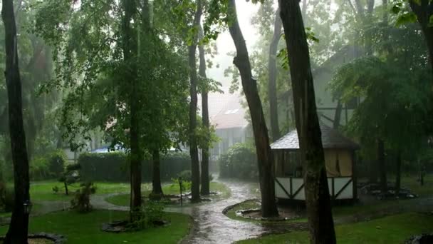 Pluie d'été, un orage, une forte averse au centre de loisirs, dans une pinède, parc. l'eau coule en grosses gouttes — Video