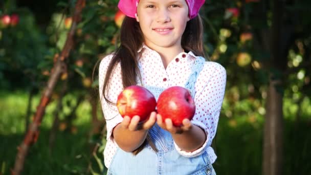 Linda chica campesina sosteniendo en las manos dos grandes manzanas rojas maduras a la luz del sol, y sonriendo. recogiendo manzanas en la granja, en el jardín. en el soleado día de otoño. Concepto de agricultura y jardinería. Nutrición saludable — Vídeo de stock