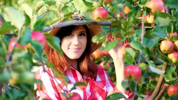 Primer plano, retrato de una mujer agricultora o agrónoma con un sombrero, recogiendo manzanas en la granja en el huerto, en el día soleado de otoño. sosteniendo una caja de madera con manzanas rojas, sonriendo. Concepto de agricultura y jardinería — Vídeo de stock