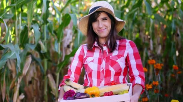 Mosolyogva női farmer, kockás ing, kesztyűt és kalapot tart egy doboz különböző friss zöldségekkel, a betakarítás. háttérben a búzatábla, farm, konyhakert, napsütéses nyári napon. — Stock videók