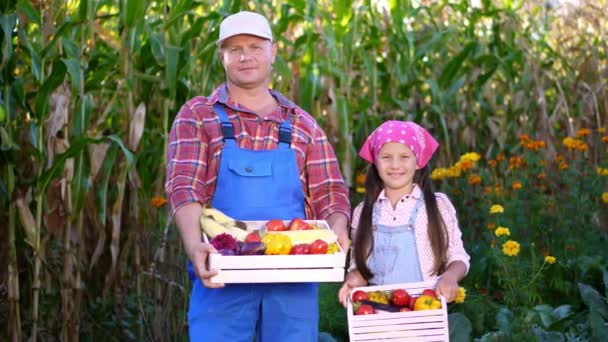 Портрет улыбающейся фермерской семьи, отца и дочери, держащих деревянные коробки с различными свежими овощами, урожай на ферме, солнечный летний день. овощной сад — стоковое видео