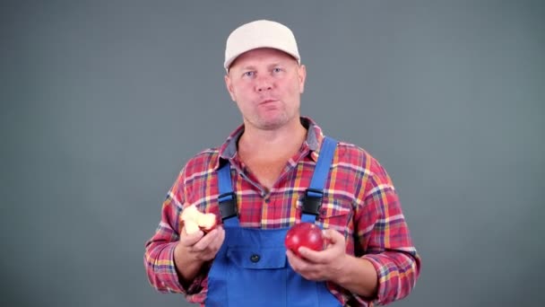 Beau fermier masculin en chemise à carreaux et combinaison bleue, tenant dans les mains deux grandes pommes rouges mûres, mange, les mord sur fond gris dans le studio. Concept de nutrition saine . — Video