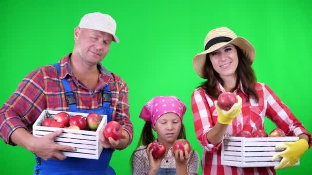 Retrato da família de agricultores, segurando em suas mãos caixas de madeira com maçãs orgânicas maduras vermelhas, sorrindo, sobre fundo verde em estúdio. Comida saudável à sua mesa . — Vídeo de Stock