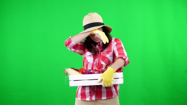Agricultrice souriante en chemise à carreaux, gants et chapeau essuie la sueur, tient une boîte avec différents légumes frais, récolte. fond vert, studio, Alimentation saine à votre table . — Video