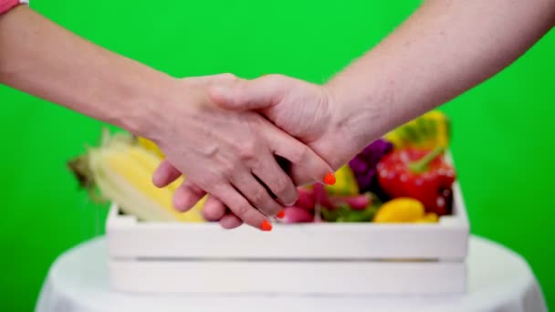 Close-up, friendly handshake on Chromakey, green background and a box full of different vegetables, in studio. concept of crop counting, harvest of vegetables — Stock Video
