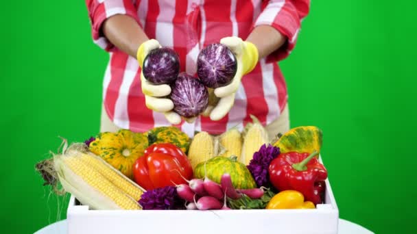 Groenten, aubergine Chromakey, groene achtergrond en een doos vol met verschillende groenten, houden close-up, vrouwelijke handen in handschoenen, in de studio. concept van gewas tellen, oogst van groenten — Stockvideo