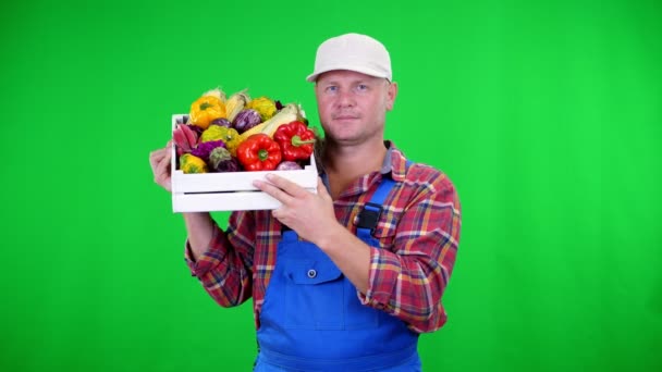 Contadino maschio sorridente in camicia a quadri e cappello tiene una scatola con diverse verdure fresche, su Chromakey, sfondo verde. concetto di conteggio delle colture, raccolta degli ortaggi . — Video Stock