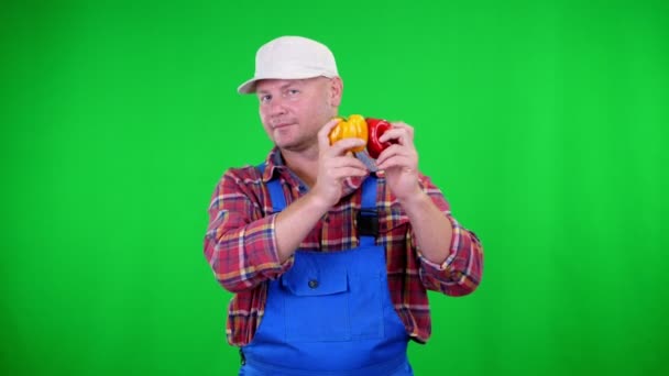 Granjero macho sonriente en camisa a cuadros y sombrero sostiene pimientos dulces, agitando pimienta, como maracas, sobre Chromakey, fondo verde. concepto de comida saludable a su mesa — Vídeo de stock