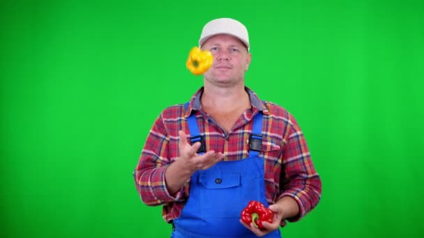 Agricultor masculino sorridente em camisa xadrez e chapéu detém pimentas doces, brincando, joga-los, em Chromakey, fundo verde. conceito de comida saudável à sua mesa — Vídeo de Stock