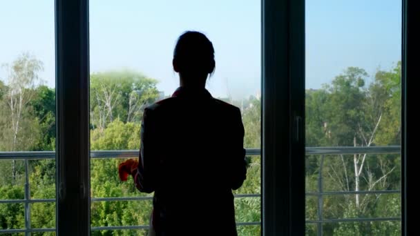 Contorno oscuro, una sombra de una mujer en guantes, Ventana de limpieza por pulverización de productos de limpieza, utilizando detergente y trapo. trabajador del servicio de limpieza o ama de casa . — Vídeos de Stock