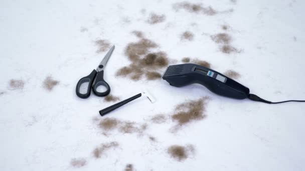 Närbild av Frisör verktyg och en hel del klippa hår från kroppen, på vit bakgrund. verktyg för hårborttagning, hårborttagning, Mens frisyr. Clipper, rakapparat, trimer, sax — Stockvideo