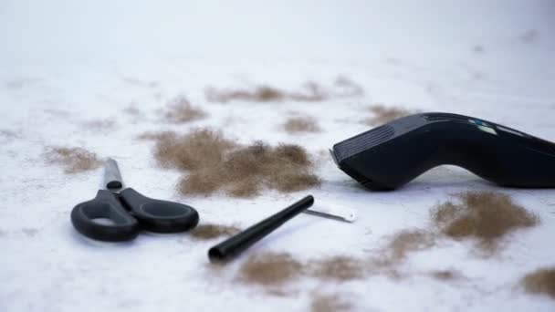 Närbild av Frisör verktyg och en hel del klippa hår från kroppen, på vit bakgrund. verktyg för hårborttagning, hårborttagning, Mens frisyr. Clipper, rakapparat, trimer, sax — Stockvideo