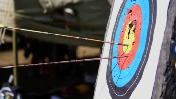 An outdoor target for shooting with a bow and arrows, for archery arrows on a summer day , in the Park. Archery target , Hit the goal. target board and arrow shoot. — Stock Video