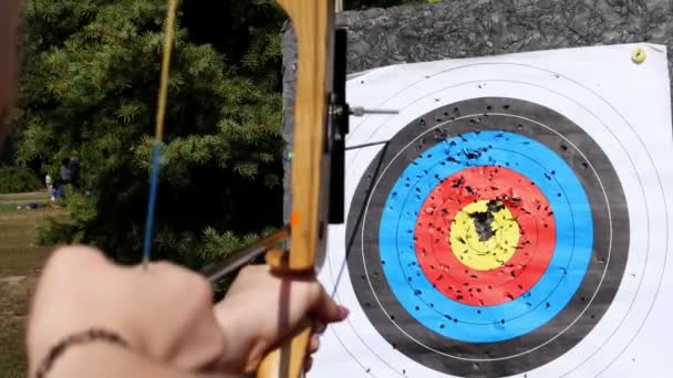一个户外目标, 用于射击的弓和箭, 为射箭箭在夏季的一天, 在公园。射箭目标, 命中目标。目标板和箭头拍摄. — 图库视频影像