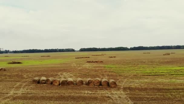 エアロをビデオ撮影 収穫後 刈った小麦の大きなフィールドです 多くの滑車 藁の大きな俵 あの日の夏 — ストック動画